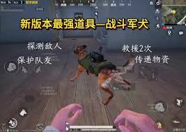 和平精英战斗军犬怎么玩
