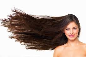 头发太长会和身体抢营养是真的吗