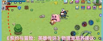 契约与冒险英雄传说物理宠如何养成