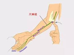 手肘处有麻筋是怎么回事