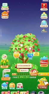 拼多多多多果园如何快速结果