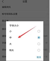 今日头条如何设置字体