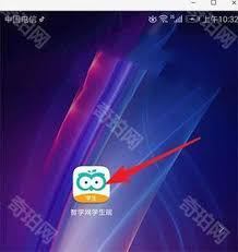 智学网app如何使用错题重做功能