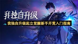 我独自升级起立觉醒有哪些实用技巧