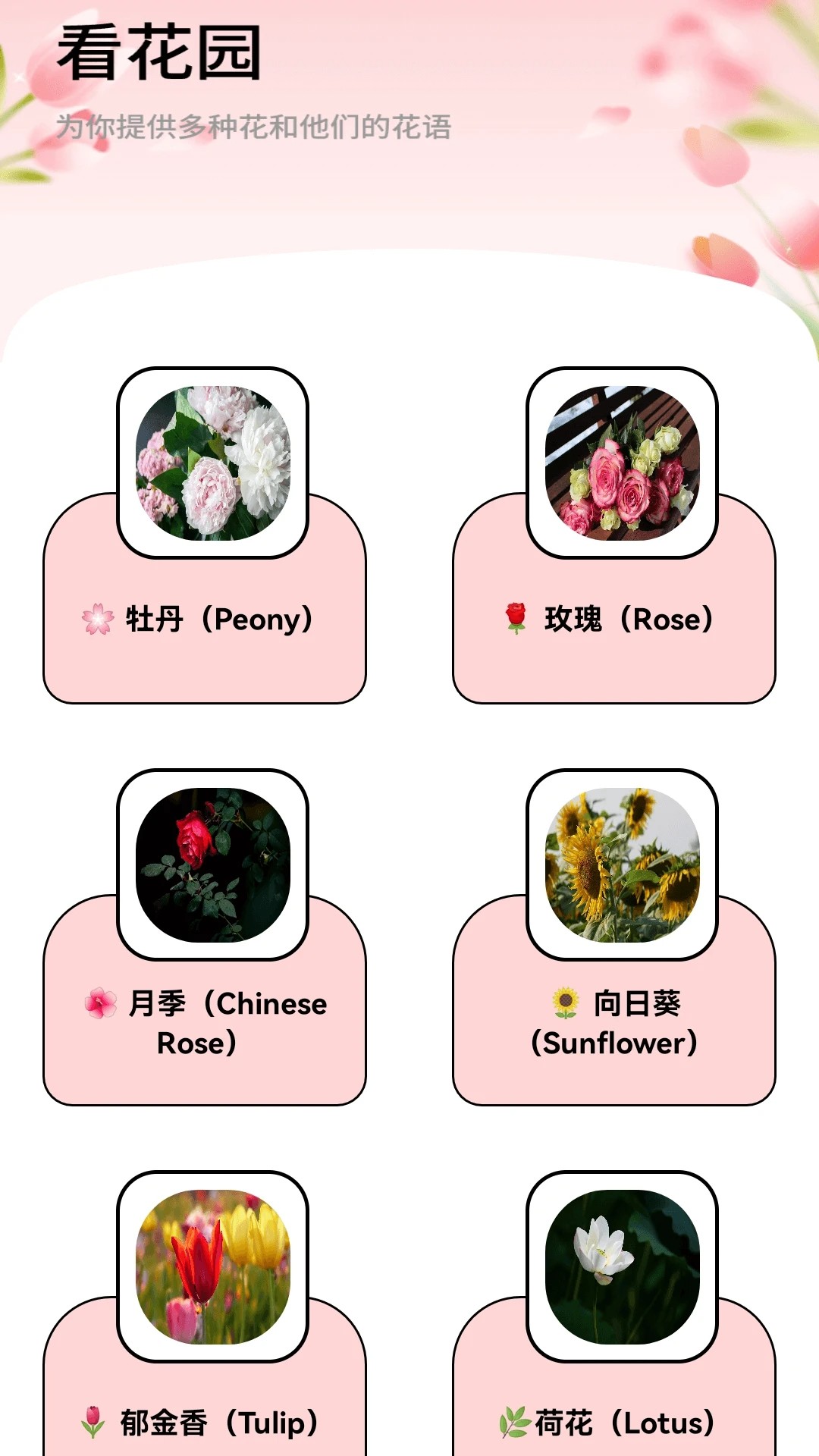 月光短剧手机版