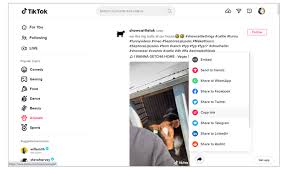 Tiktok官网最新入口地址是什么