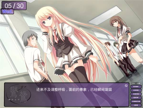 鸑鷟:镜花水月单机版