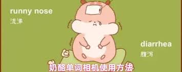 奶酪单词相机怎么用