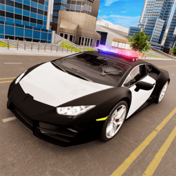 城市狂飙锦标赛中文版