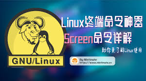 如何使用screen命令