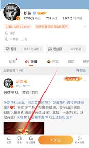 微博网页版使用方法是什么