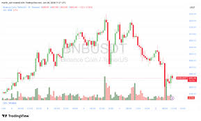 BAS币2026年能涨到什么价位