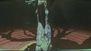 月球任务照片3的内容是什么