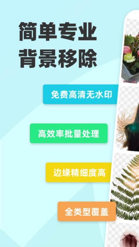 椰子设计安卓正版