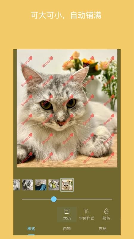 简单水印照片正式版