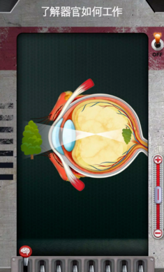 人体是如何运作的单机版