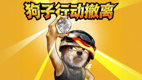 狗子行动撤离完整版