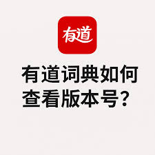 如何在有道词典查看版本号