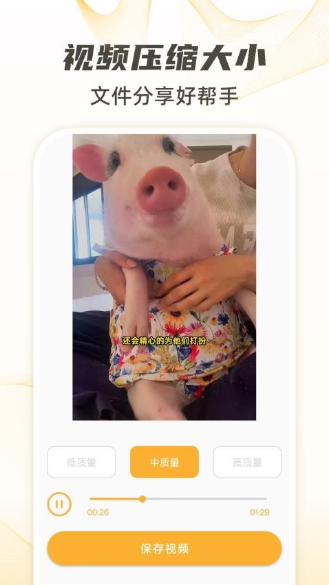 视频下载去水印正式版