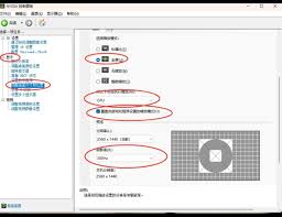 PotPlayer如何设置无边框模式