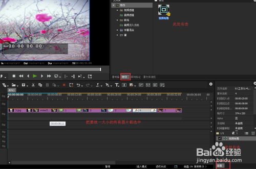 如何设置B站弹幕显示速度