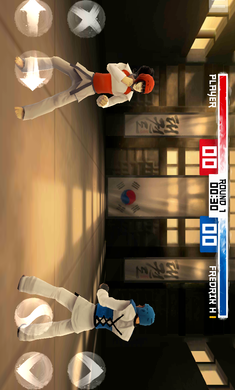 跆拳道大奖赛修改版