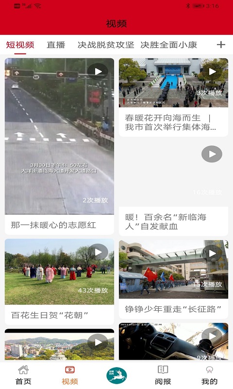 掌心临海自定义版