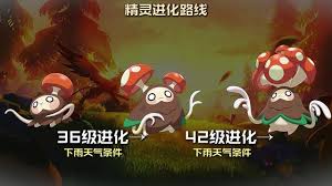 洛克王国世界菇菇丁怎么进化