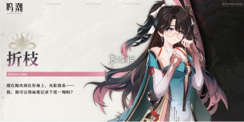 鸣潮折枝声骸套装如何选择