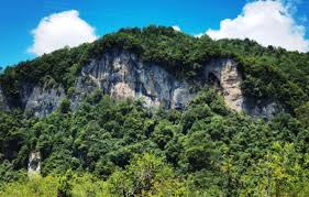 暑假去神农架原始丛林旅游哪种防蚊虫办法更有效