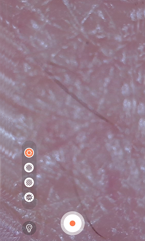 MoreMeSPA会员免登录