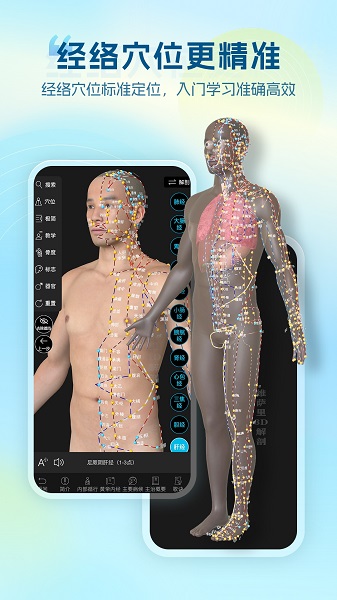 维萨里3D解剖官网版