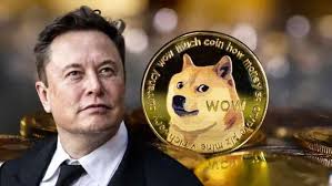doge币未来还会升值吗
