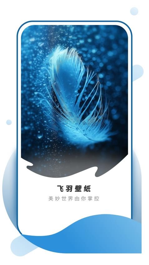 飞羽壁纸纯净版