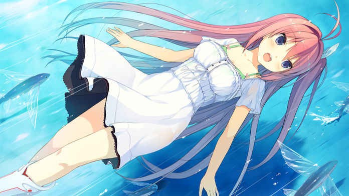 苍之彼方四重奏正版