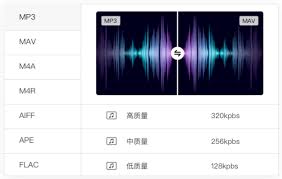 野葱视频转换器怎么提取音频