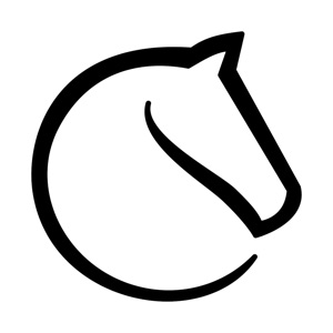 lichessorg国际象棋修改版