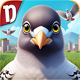 pigeonpopios中文版