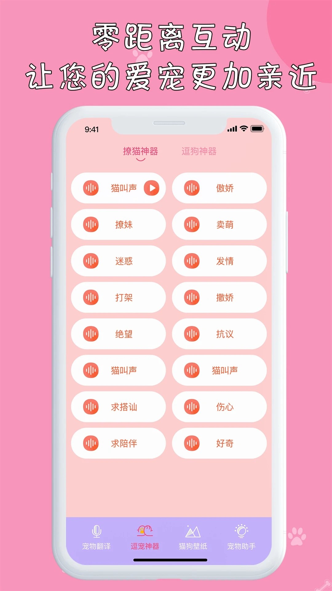 小猫纯净版