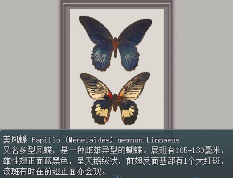 白夜博物馆单机版