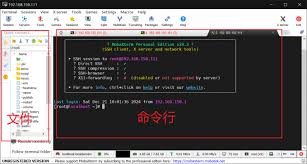 mobaxterm怎么设置中文