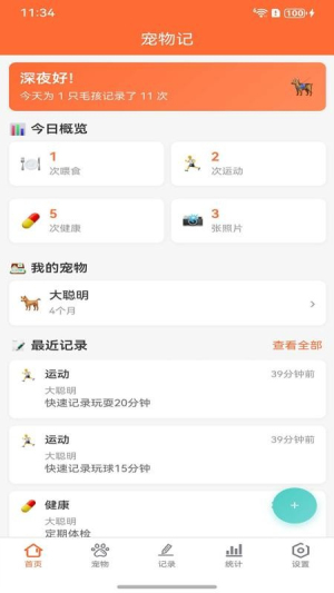 宠物记全新版本