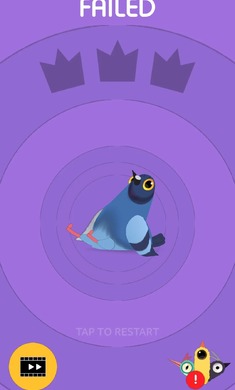 pigeon付费版