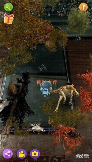 猫小智动物园AR玩恐龙