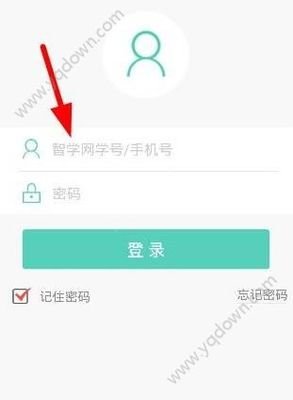 智学网网页版在线官网入口在哪