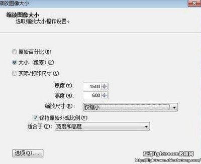 Honeyview怎么设置图片缩放方式