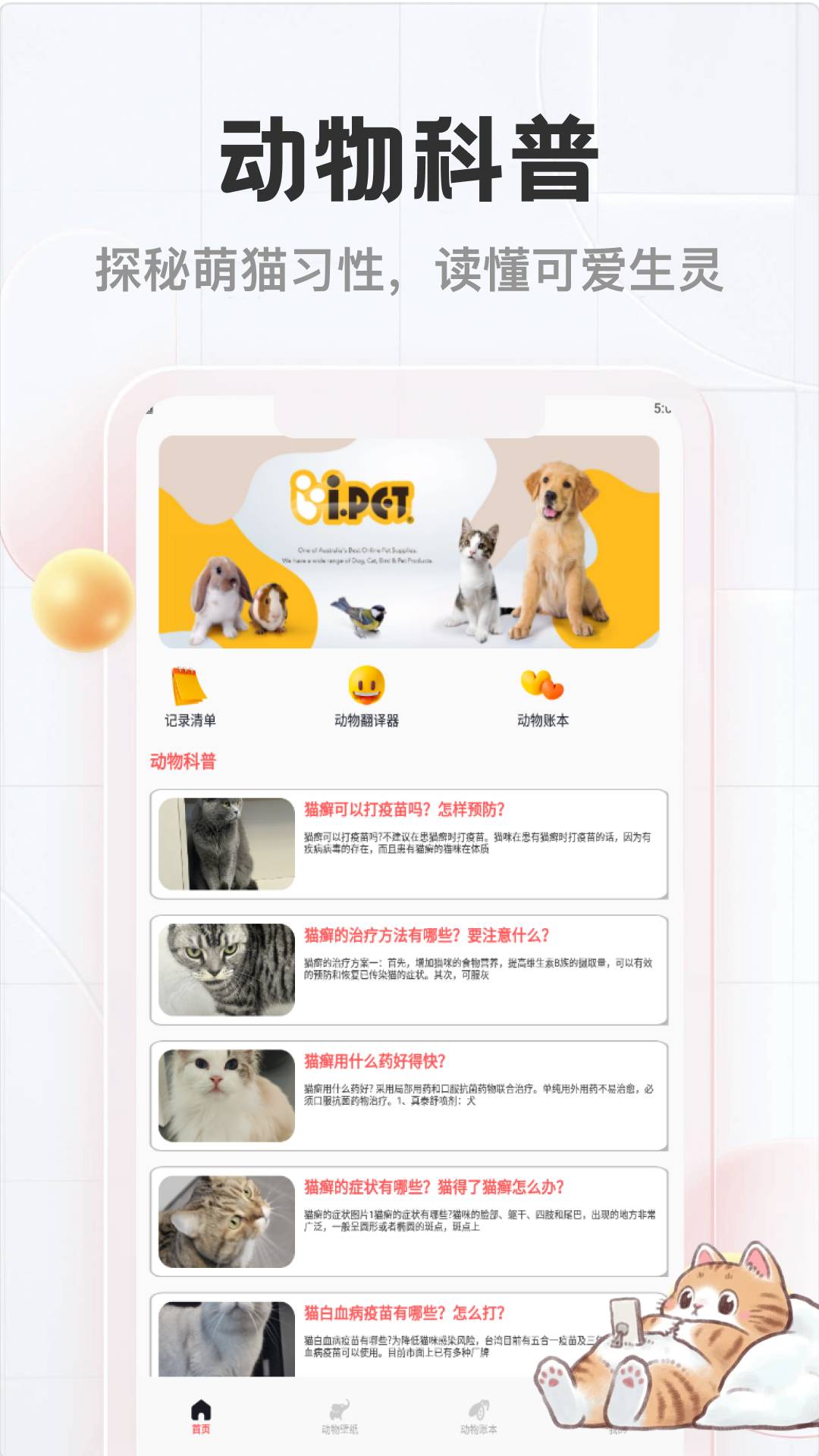 猫猫物语安卓正版