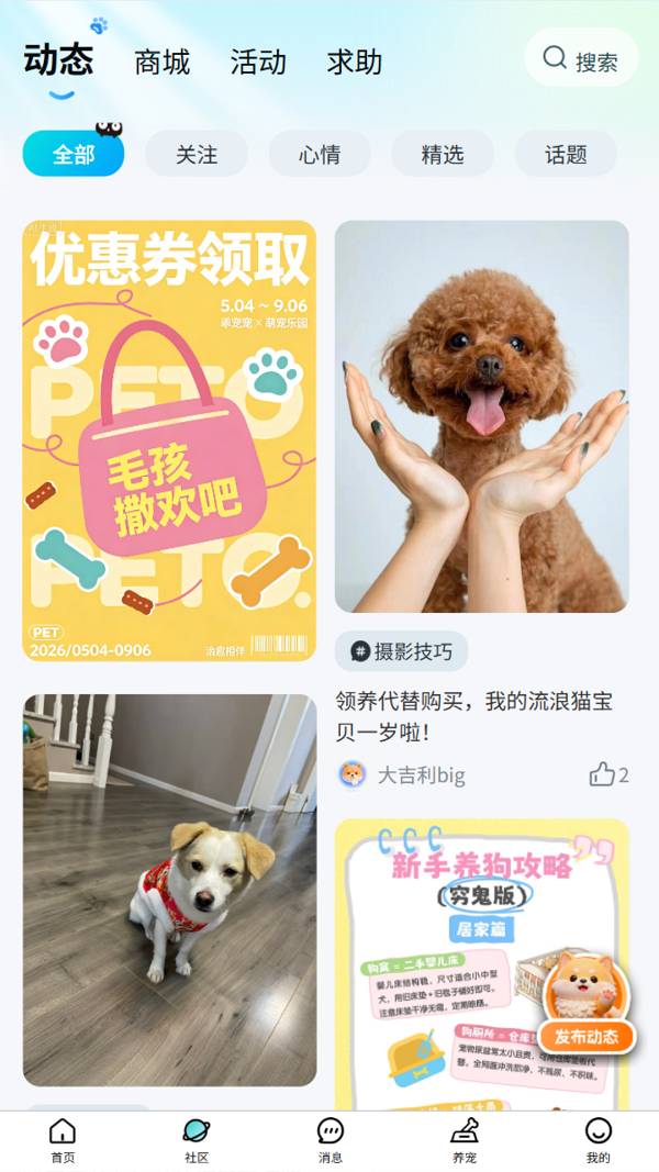 乖宠宠免费正版