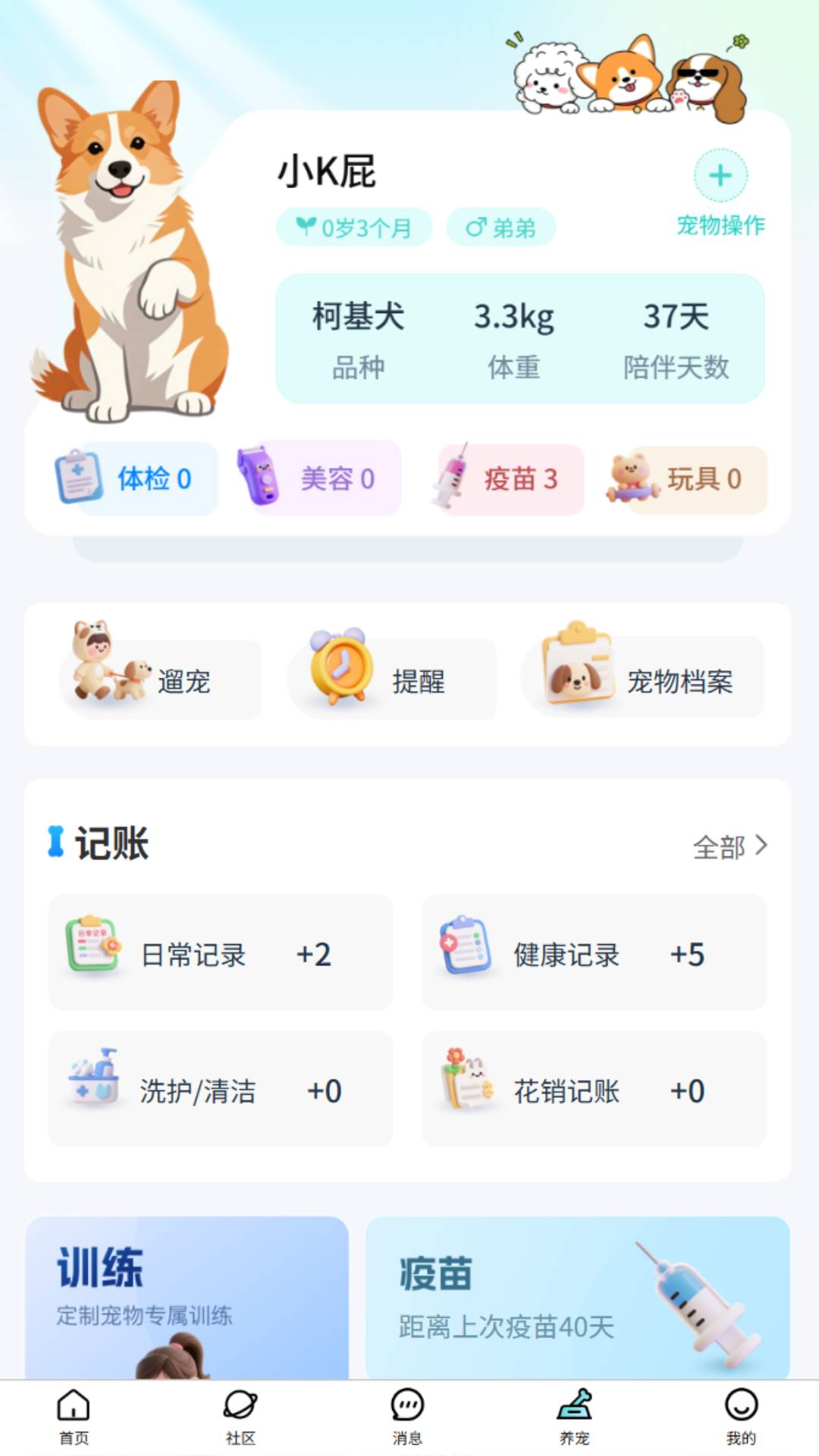 乖宠宠自定义版