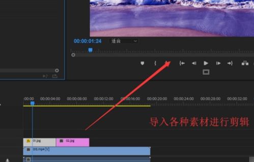 pr2019如何自动清理缓存